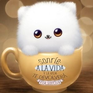 Meet your Posher, Nena